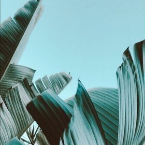 Meet your Posher, Caleigh